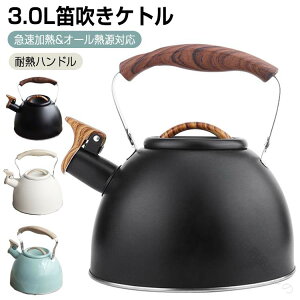 Pg JPg ₩ 3.0L e   |bg ΑΉ k ؐnh L݌v R[q[ eB[|bg IHΉ XeX Lb`pi