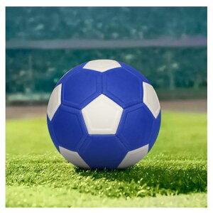 qǂpTbJ[{[ WjA 4 5 y {[ j̎q ̎q w wp LbJ[{[ Ȃdl cKp{[ lCTbJ[pi