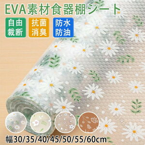 HIV[g Lb`V[g~}bg 􂦂①ɃV[g L Lb`o}bg ڒܕsv ْf\ RۖhH Ȃf vg VFtCi