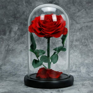 Ɩb̃o {o vU[uht[o ỉ ۑ o^Cf[ NX}X ̓ LO  av[g 蕨 nCGhMtg{bNX v[