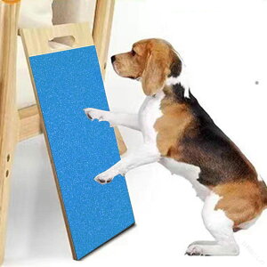 pXNb`pbh ̒܂₷܂Ƃ{[h ؐ 14.6×8.7C` C^NeBuȃybg ̒܂₷p Lgybgpi J[łȃfUCϋvQ