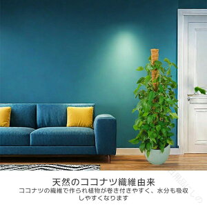 2{Zbg 3{Zbg Xe x RRXeBbN ϗtA x |x A K[fjOp Ԃ RRibcx AT|[g 鐫A g}g |gX x |p |x