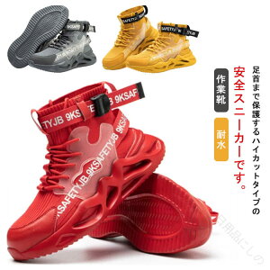 h SC Xj[J[ nCJbg fB[X Y |c Z[teB[V[Y ƌC EH[LO y ϐ ܐی jp    nCLO ނ AEghA 