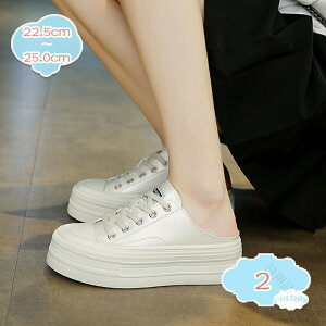 ~[ ƂȂXj[J[ 5.5cm fB[X tďH ʋCQ Xbp T_ T{ [Jbg Xb| ₷₷ ŌC \[ JWA t