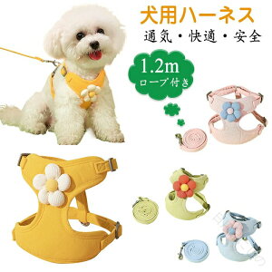 ^pn[lX[hZbg Ȃn[lXxg  t pn[lX tďH~Ή ւ̕Sy ŉfUC ybgpi