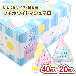 y  z v` zCg }V} ( 40 × 20 ) / ʉَq ܂Ƃߔ  P[X LfB[ َq  ii  Ղ  َq ߂킹 qǂ  ^N}