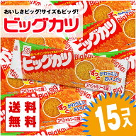 【ゆうパケット便 送料無料】 ビッグカツ (15個入) / 駄菓子 まとめ買い 送料無料 イカ・珍味系のお菓子 …