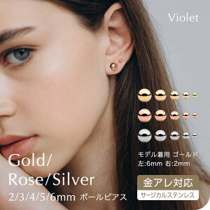 sAX AM[ Ή SUS316L AM[Ή XeXsAX ۋʃ{[sAX 2mm 3mm 4mm {[ Vo[ ubN t@[XgsAX ZJhsAX X^bhsAX p 