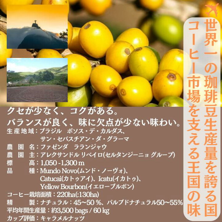 ブらジる ブるボンあまれろ なちュらる 中深煎り 合計400g 200g×2袋 豆 粉 選べる こーひー豆 すペしャりてィこーひー 珈琲 自家焙煎 飲料 送料無料 200g ブらジる ボンジャるディン あまれろ なちュらる精製 | SLOPE