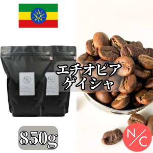 G`IsA QCV QVrbW_ `J i` 850g | R[q[Mtg@XyVeBR[q[ R[q[  XyVeB R[q[  R[q[ ҃R