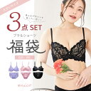 3枚組 ブラショーツ セット B85 - I95 大きいサイズ ブラジャー 福袋 [メール便不可]【 ブラジャー 上下セット ブラ & ショーツ ブラ福袋 下着福袋 Gカップ Hカップ Iカップ 】
