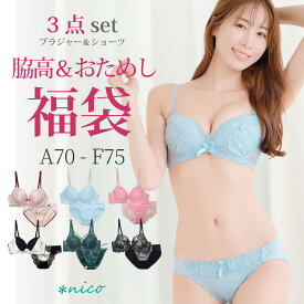 脇高 ブラセット 3組入り A70-F75 【送料無料】福袋 2026 (X-007) [メール便不可]【 下着 ブラジャー ショーツ 上下セット レディース インナー】