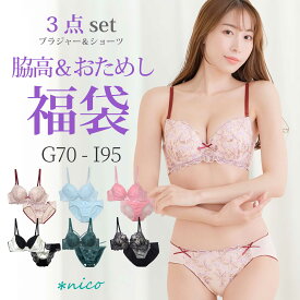 大きいサイズ 脇高 ブラセット 3組入り G70-I95 【送料無料※沖縄は追加送料】レディース 2026 (X-008)[メール便不可]【ブラセット 福袋 下着 インナー】