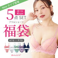 A・Bタイプ 3680円★ 選べる4タイプ 下着福袋 2026 【5点セット 送料無料】 ブラジャー ショーツ セット …