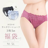 M L LL 3L 4L 5L サニタリーショーツ レディース 3枚組 セット2026 (x-050)【メール便送料無料】【福袋 …