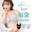 大きいサイズ 下着 福袋 3枚組 上下セット B85 - I95 2025 送料無料 [メール便不可]【ブラジャー ・ ショーツ プラス…