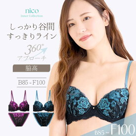 クーポン利用でMAX1200円OFF★ ブラジャー ショーツ B85-F100 大きいサイズ 脇高 美胸 刺繍 黒 (j-1312-ef)[メール便不可]【ブラセット アンダー100 下着 レディース Fカップ グラマー 上下セット】