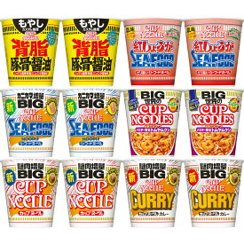 12個セット カップヌードル BIG 6種×2食 アソート 定番3種と トムヤムクン 背油豚骨醤油 紅しょうがシーフード ビッグ 日清食品 N8847