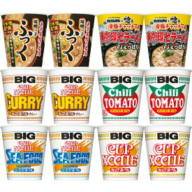 12個セット 日清食品 カップヌードル BIG 6種 12食セット 定番ビッグ 4種 x各2 酸辣湯サンラータン x2 牛だしユッケジャン x2 N2332