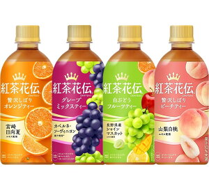 24{Zbg gԓ` NteB[ 440ml ґ򂵂ڂ 4×6{Zbg IWeB[ s[`eB[ Ԃǂt[cTEA O[v~bNXTEA RJER[ C3046