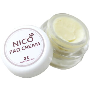 NICO I[KjbNN[ 10g VAo^[z VR100% Y  L r߂ĂS