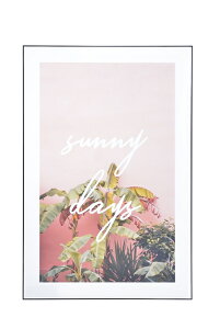 A[gpl EH[fR ʐ^ Ǌ| Ǐ  tHgpl 80×120 k ݑ  CeA @^CvB