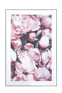 A[gpl EH[fR ʐ^ Ǌ| Ǐ  tHgpl 80×120 k ݑ  CeA @^CvC