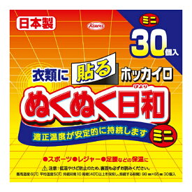 【注文合計2980円以上で注文可能】興和 ホッカイロ ぬくぬく日和 貼るミニ 30個 ( 使い捨てカイロ ) お一人様5点まで