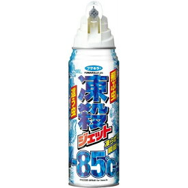 【B商品】【購入条件付き】 フマキラー 殺虫スプレー 凍殺ジェット 300ml ※購入条件を必ずご確認ください