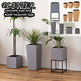 プランター ウォーターヒヤシンス 植木鉢 モダン グリーンポット セメント仕上げ ボックス 軽量 軽い 鉢植え 植木ポット 園芸 インテリア おしゃれ 花台 丸型 円形 四角 ラウンド ナチュラル 自然派 植物 かわいい インテリア アジアンテイスト