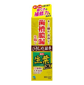 【注文合計2980円以上で注文可能】 【小林製薬】【生葉】生葉EX 100g お一人様5点まで