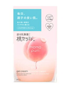 6`10Zbg ܂Ƃߔ X^COCt Ղ oAN[ 80g ێ bϕi XLPA