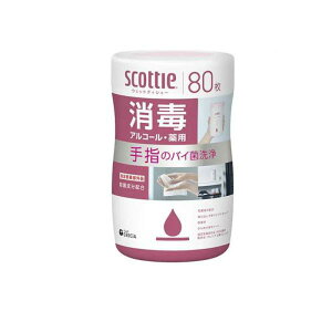 3`5Zbg ܂Ƃߔ NVA XRbeB EFbgeBV[  AR[ 80 lߑւ^Cv EFbgeBbV