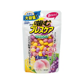 【A商品】 6〜10個セット まとめ買い 小林製薬　噛むブレスケア　息リフレッシュグミ　アソート　パウチタイプ　100粒