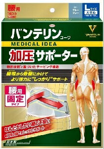 6`10Zbg ܂Ƃߔa oeR[T|[^[ p ^Cv O[ L T|[^[ fBJ 1