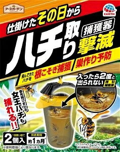 yv2980~ȏŒ\zA[X A[XK[f n`茂 ߊl^Cv 2 E   | K[fjO 2ll5_܂