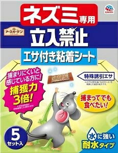 yv2980~ȏŒ\zA[XK[f lY~p֎~ GTtSV[g 5Zbg E E h 5Sll5_܂