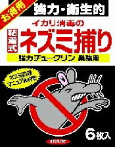 yv2980~ȏŒ\zCJ ̓`[N Ɩp 6   E | K[fjO 6ll5_܂