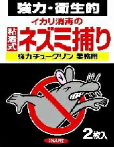 yv2980~ȏŒ\zCJ ̓`[N Ɩp 2   E | K[fjO 2ll5_܂