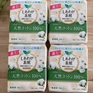 G 킹f peBCi[ VRRbg100(54) 4Zbg@NicoBase SALE