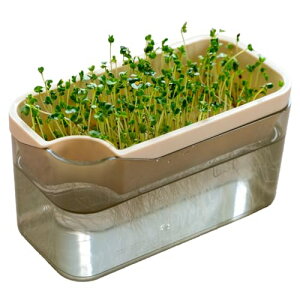 IJOKA xW}W Ă XvEg|bg AC{[ ubR[ XvEg ƒ؉ cĐ͔| ͔| k͔| vX PLY