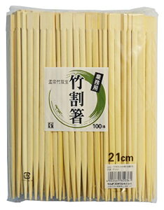 Ȃv_Nc 蔢 | o 21cm 100V ߕt Ɩp e P-421