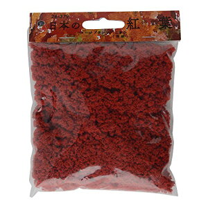 Ebhh E V[jbNX×KATO {̍gt [Wvc  [ 24-379 S͌^pi