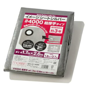  Vo[V[g #4000 1.7×2.6m 3  Ogpڈ3N |J[{l[gng ng10 J悯