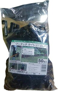 DAIM ^b`KCV 19`20mmp 50