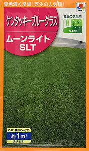 ^LCc P^bL[u[OX [CgSLT