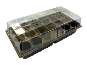 DAIM ܂nEX 9g[2t A c|bg ܂|bg c|bg ܂ c |bg ƒ؉ |  1Zbg