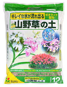 Ԃ R쑐̓y [ICgz 12L