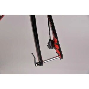 I[Xgb`OSTRICH 12mmX[ANXpGh tgp