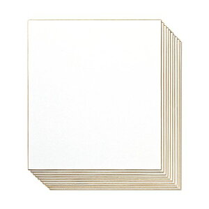 マルアイMaruai 色紙 寄せ書き 画仙 10枚パック 10枚 シキシ-510